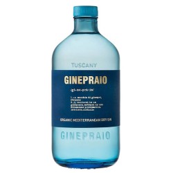 GINEPRAIO LONDON DRY GIN 45° CL 50