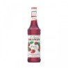 SCIROPPO FRAGOLA CL 70 MONIN