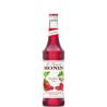 SCIROPPO LAMPONE CL 70 MONIN