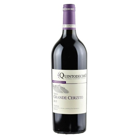 VIGNA QUINTODECIMO TAURASI RISERVA '15 CL 75