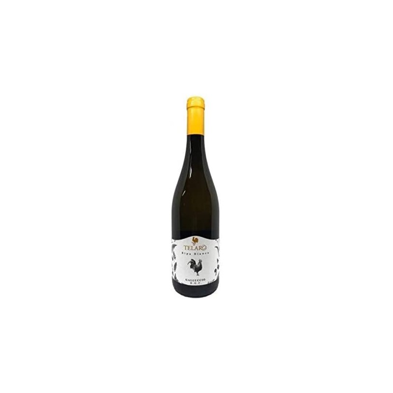 GALLUCCIO DOC BIANCO RIPA BIANCA '18 cl 75 TELARO