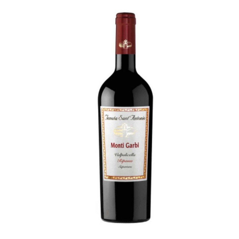 MONTI GABRI VALP. SUP. RIPASSO '18 CL 75 S.ANTONO