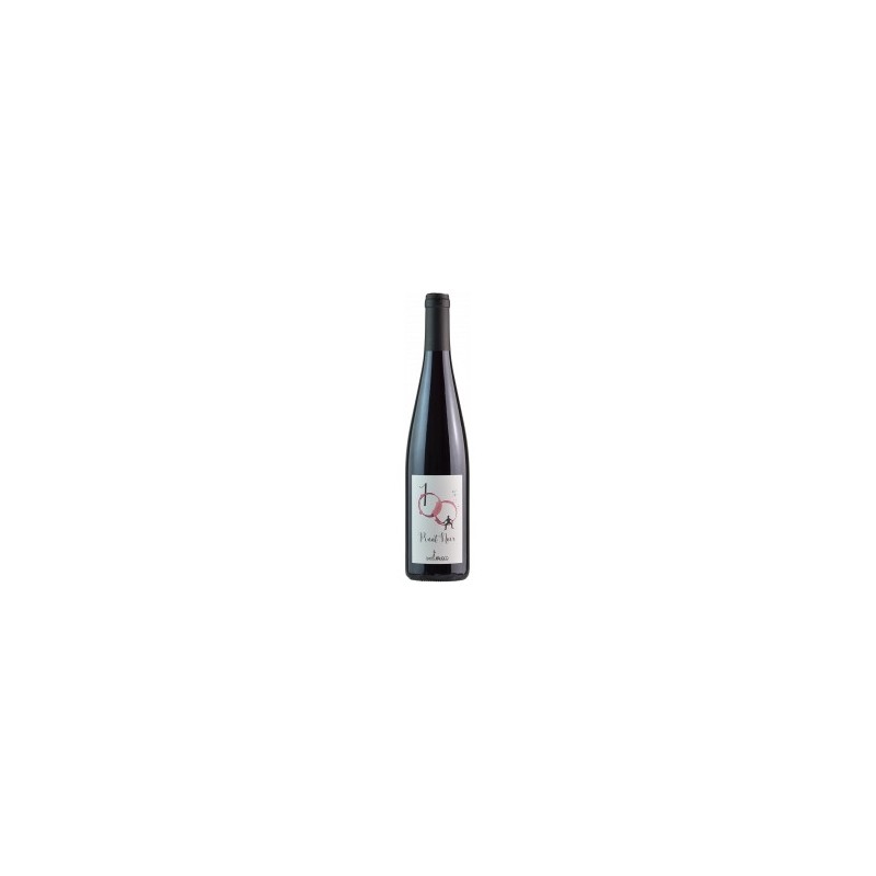 PINOT NOIR '19 CL 75  DOMAINE LOUIS MAURER
