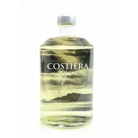 COSTIERA GIN 43° CL 70