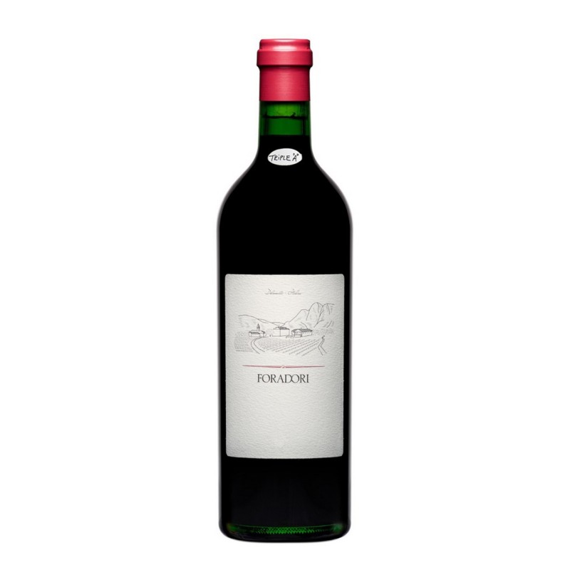 FORADORI TEROLDEGO 2021 CL 75