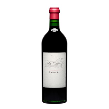 FORADORI TEROLDEGO 2021 CL 75