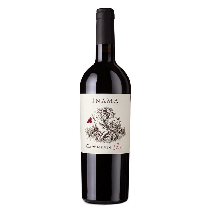 CARMENERE PIU' VENETO ROSSO IGT 2022 LT 1,5 INAMA