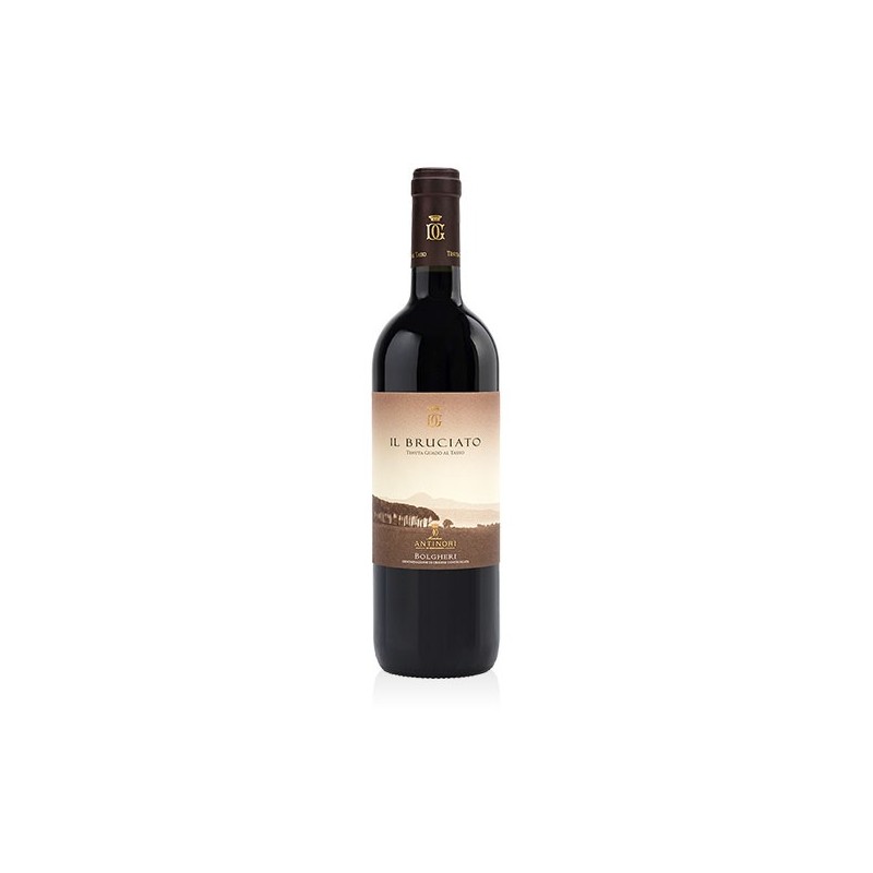 IL BRUCIATO BOLGHERI DOC 2023 CL 75