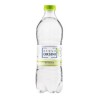 ACQUA ORSINI NATURALE VEG BOTTLE  CL 50 X 24 PET