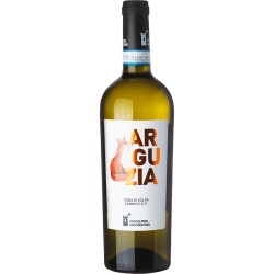 ARGUZIA CODA DI VOLPE DOP 2024 CL 75 SAN MARTINO