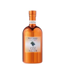 BACUR GIN 40° LT 1 BOTTEGA