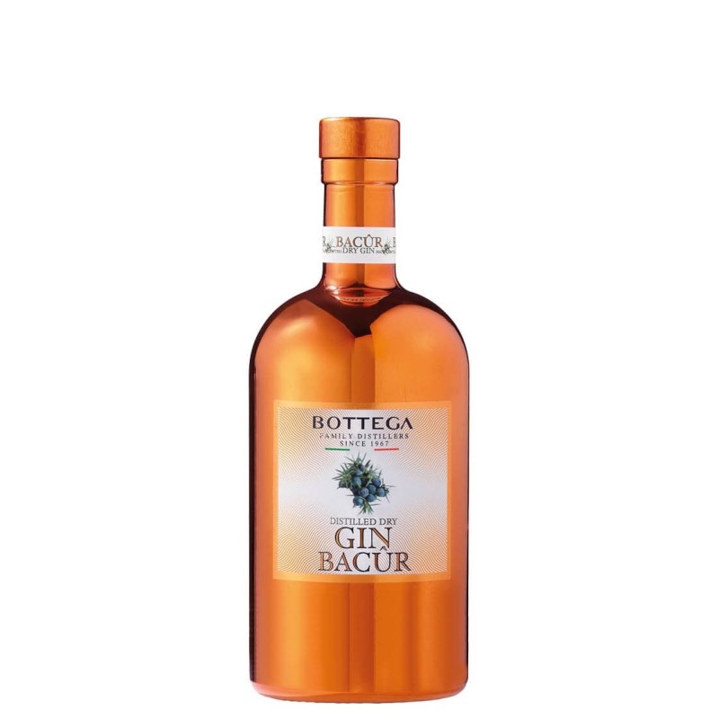 BACUR GIN 40° LT 1 BOTTEGA