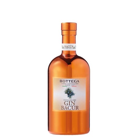 BACUR GIN 40° LT 1 BOTTEGA