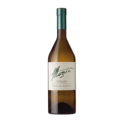 RIBOLLA GIALLA DOC COLLIO 2024 CL.75 MUZIC