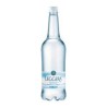 ACQUA LEGGERA LT 1 X 12 PET